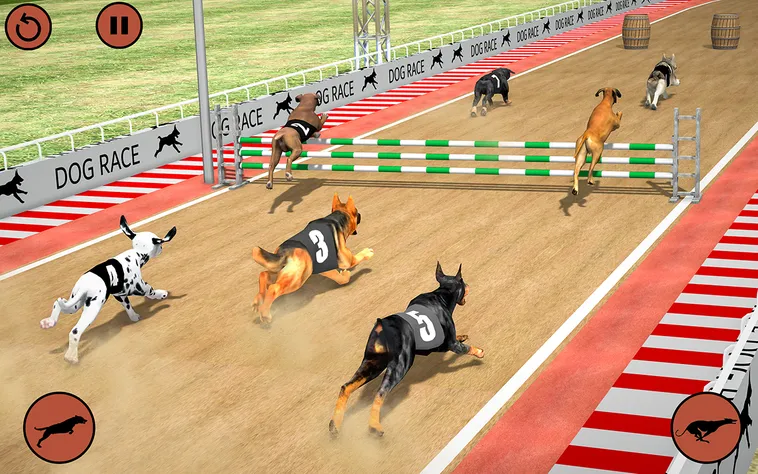 Game Nhanh Đua Chó Tại B52 Club Đấu Trường Tốc Đề Đầy Kịch Tính 2026